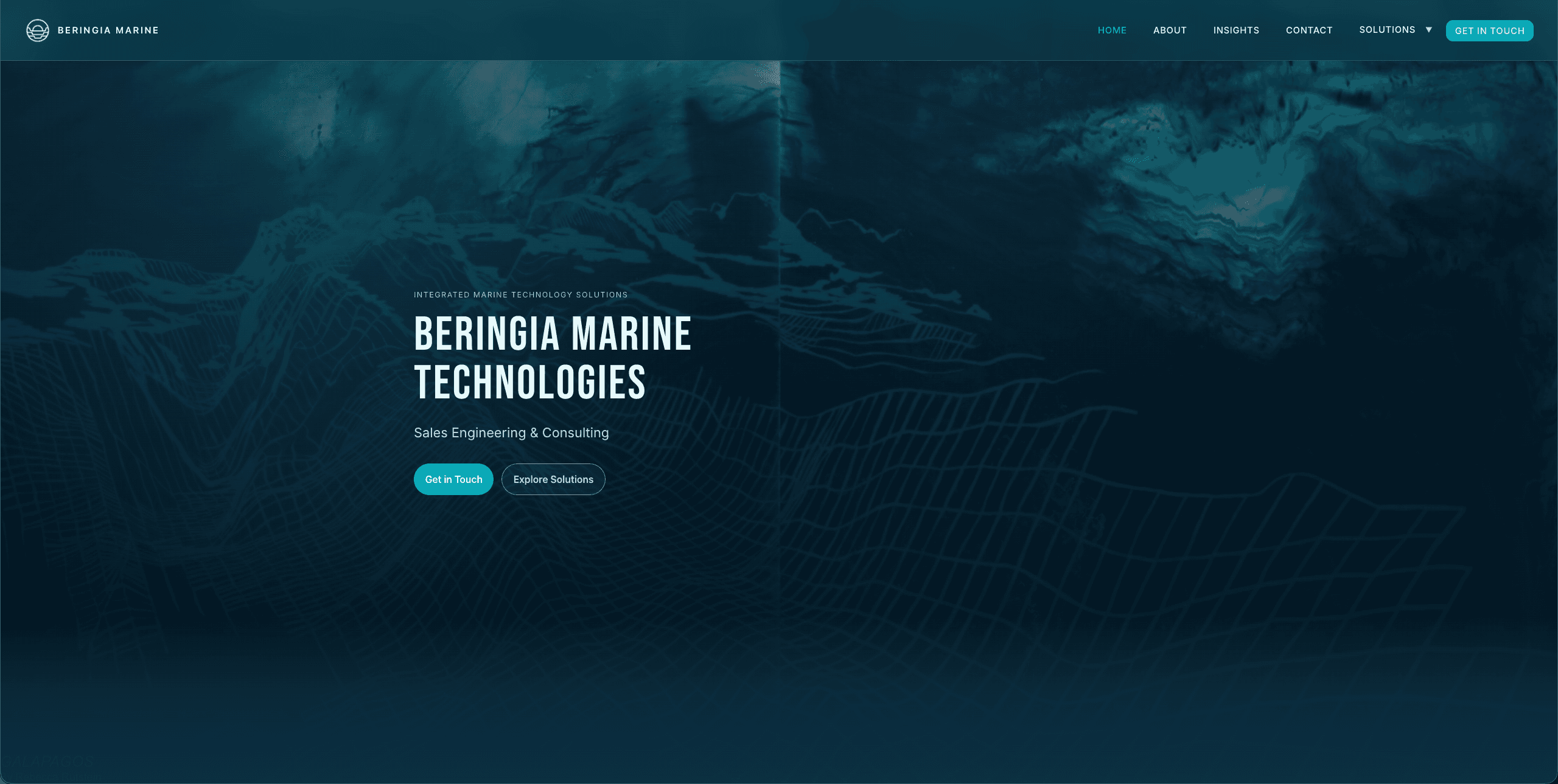 Beringia Marine Technologies — homepage.